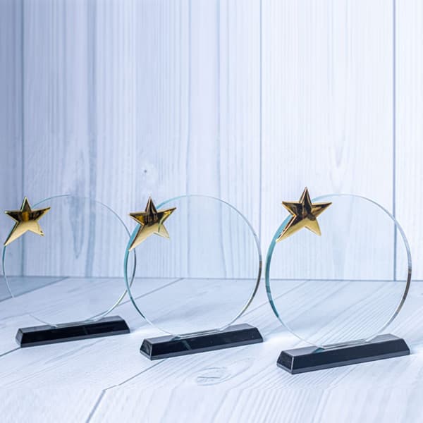 KNY-001 CRYSTAL AWARD