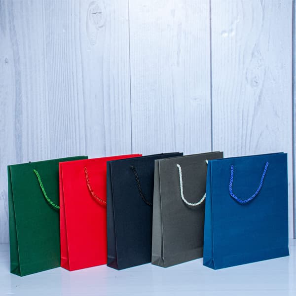 Notebook carrier bag